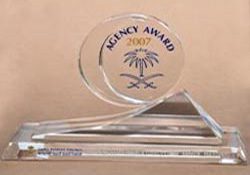 Airline achievement award (2)