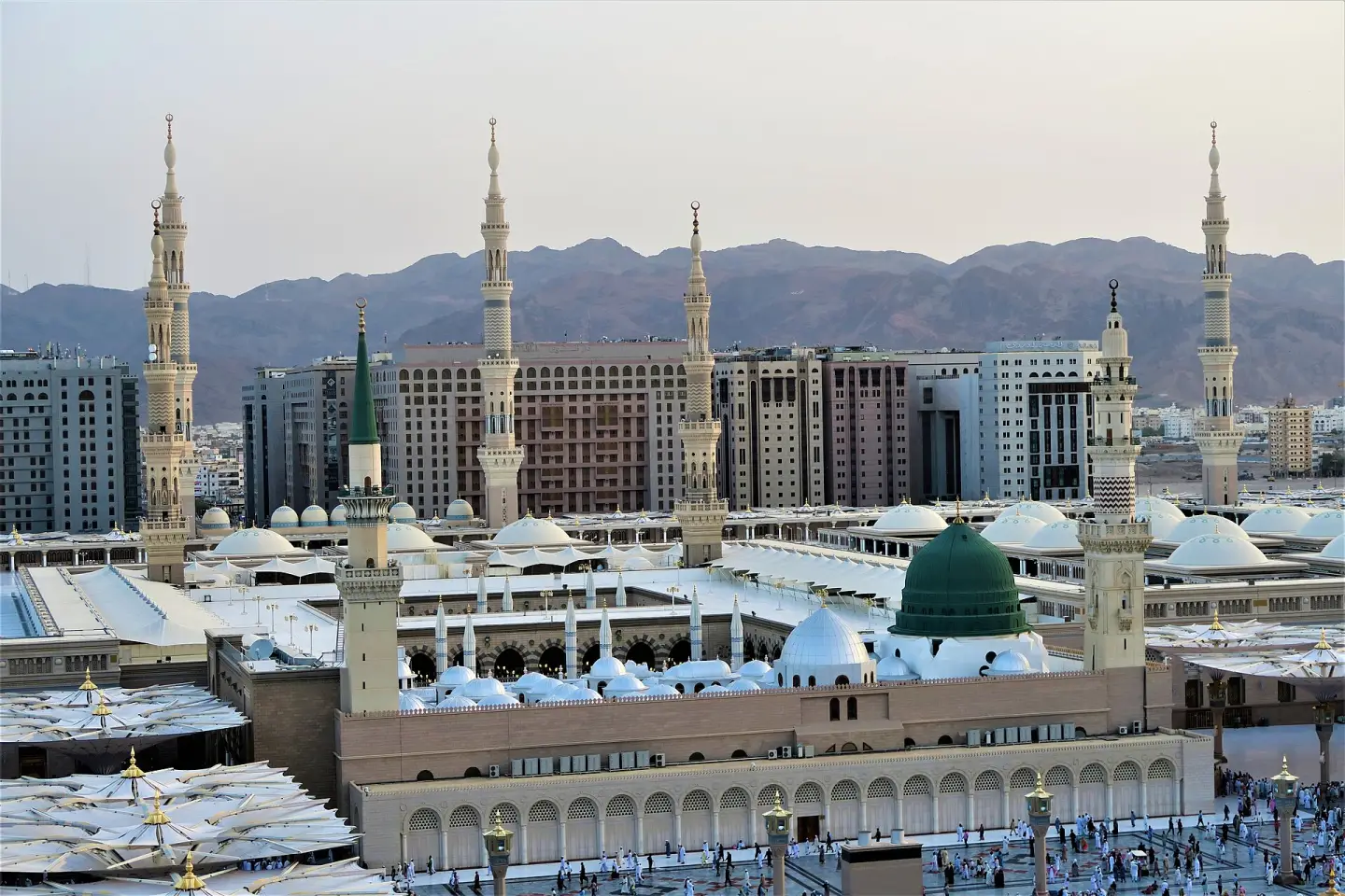 Executive Platinum Voco by IHG — Medinah First